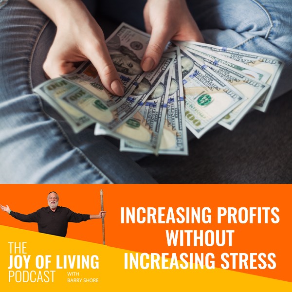 Increasing Profits Without Increasing Stress