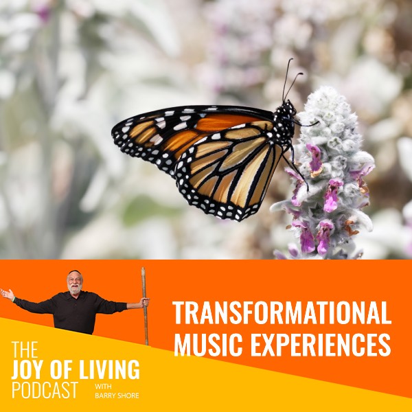 Transformational Music Experiences